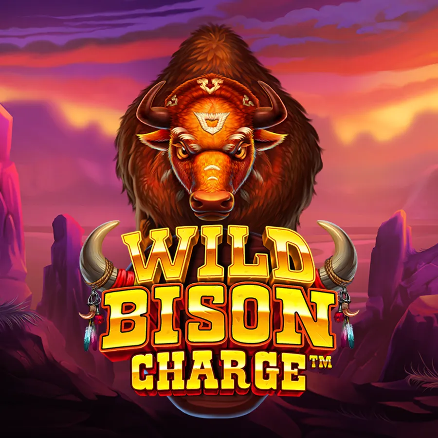 wild bison charge