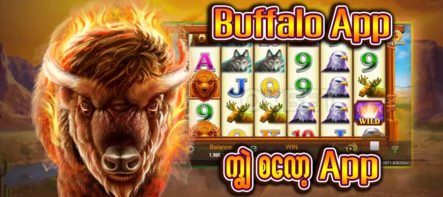 ကျွဲ စလော့ App