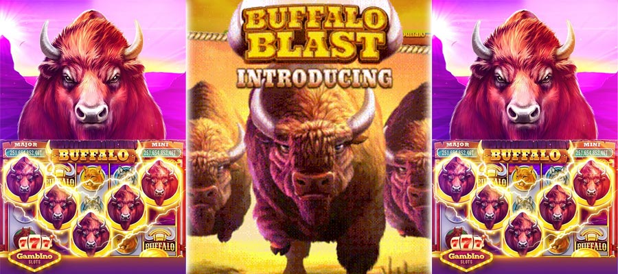 ကျွဲ စလော့ App